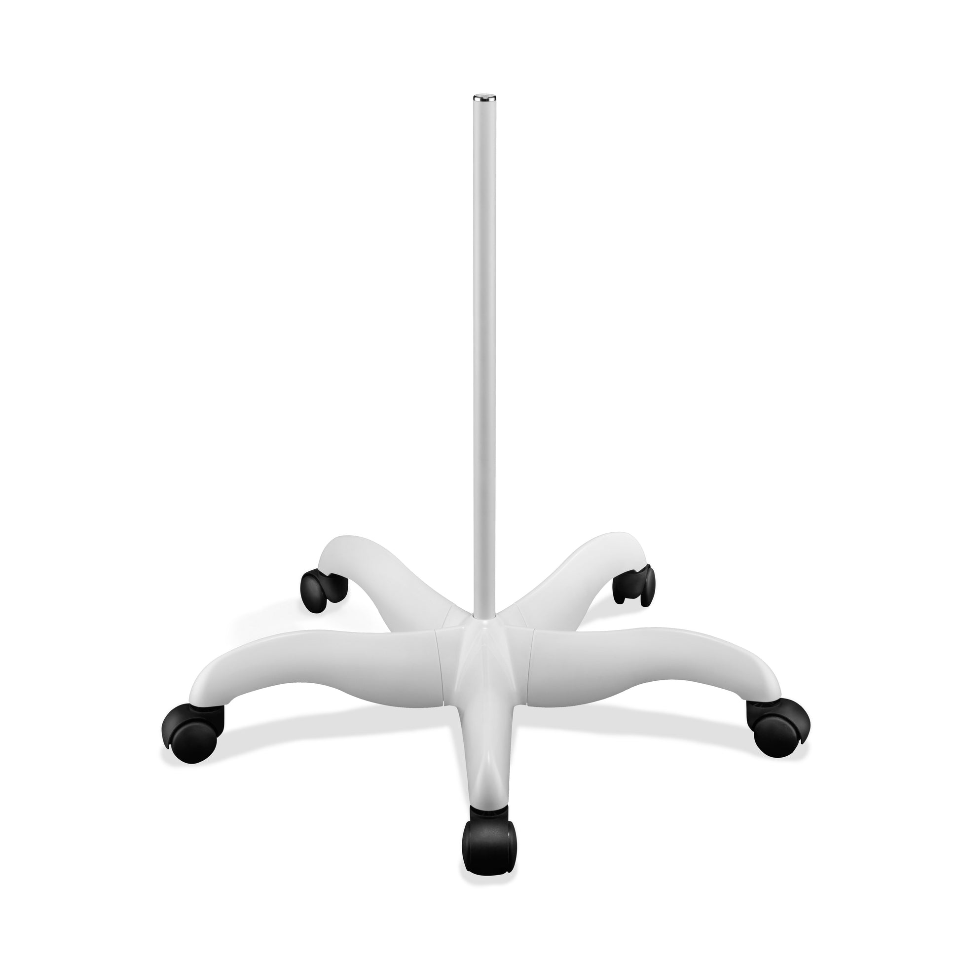 Professional Floorstand